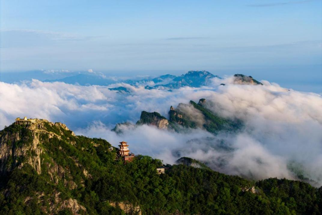 7月18日开唱！洛阳白云山森林音乐季最强攻略来了！