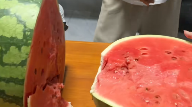 00后小伙种出一个近百斤西瓜！最快一天长3斤
