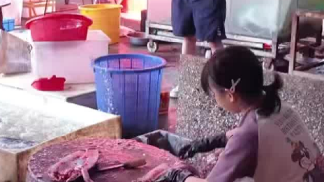11岁杀鱼妹家生意得到改善，有顾客开车1个小时来买鱼