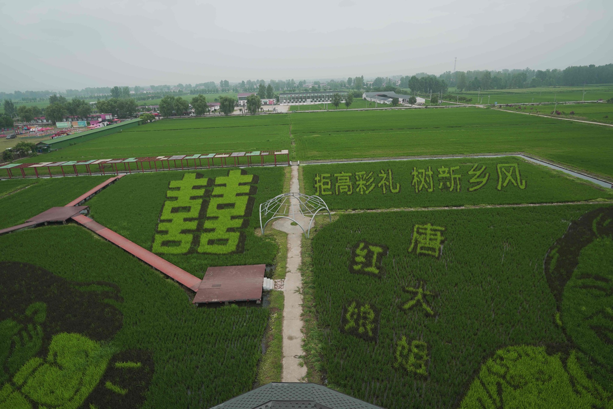 中原工学院到河南确山调研