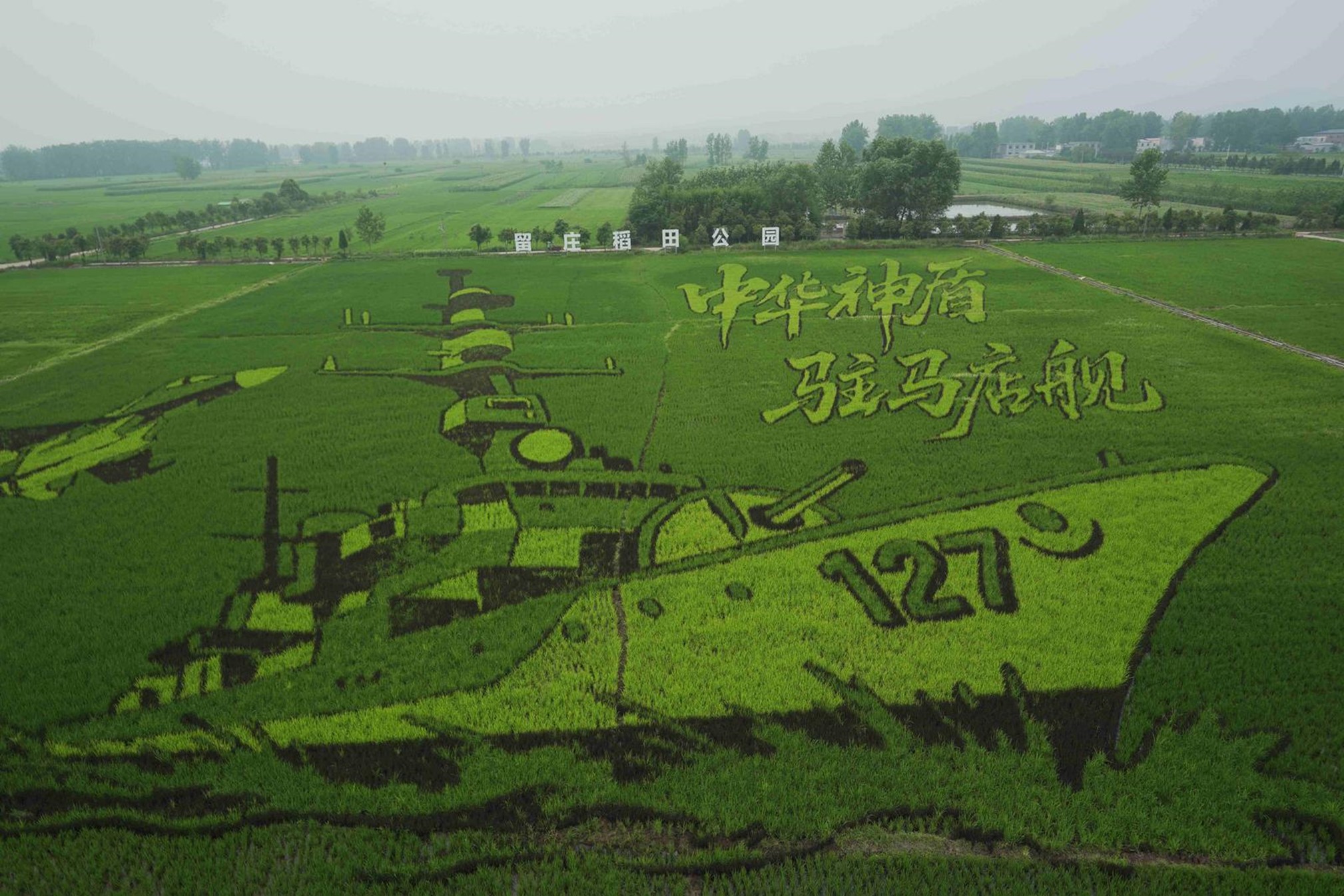 确山留庄稻田画迎来观赏期