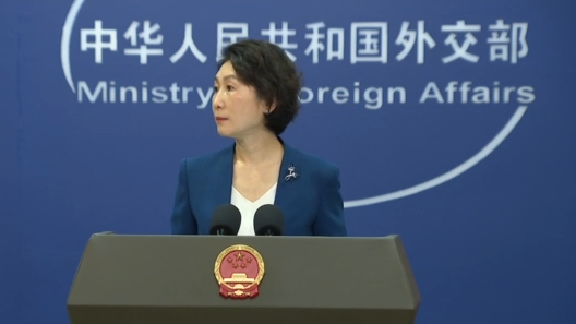 外交部点赞中国青年数学家、企业家等：展现了敢闯敢拼的自信和勇气