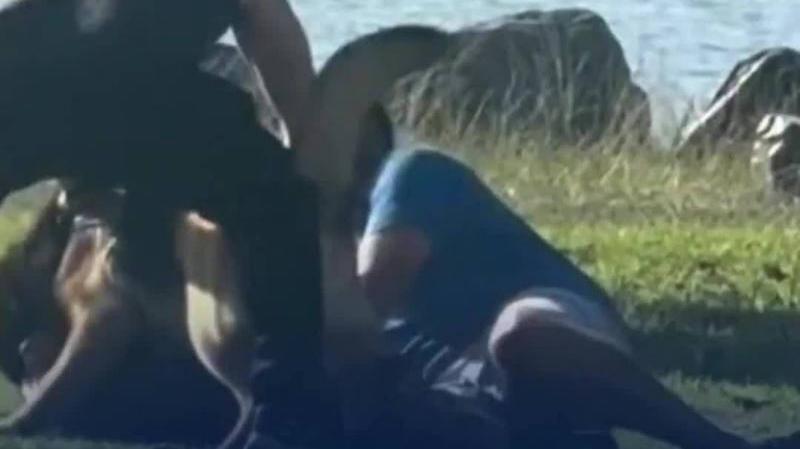 美国两名男子打架 狗为护主互相撕咬