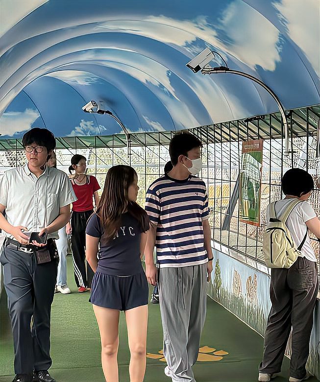 贾乃亮陪甜馨逛东北虎林园