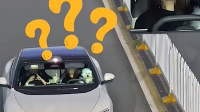 “司机”竟是只狗？小狗紧贴方向盘并不断扭动，桂林交警：违法行为