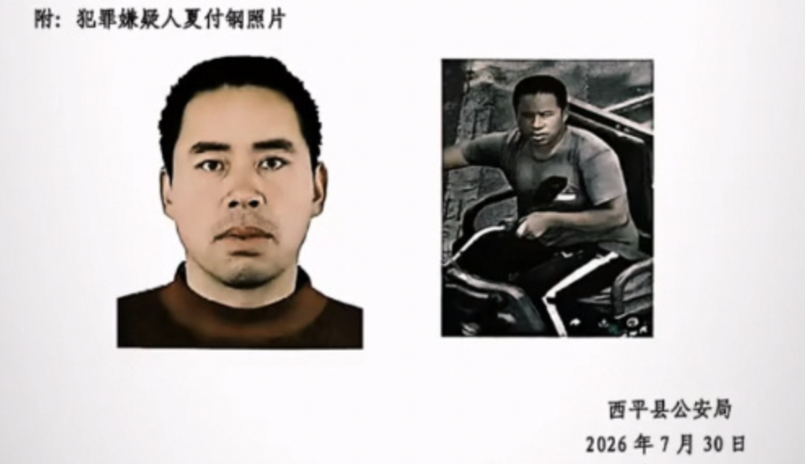 西平县“7·30”故意伤害案件犯罪嫌疑人夏某钢被抓获