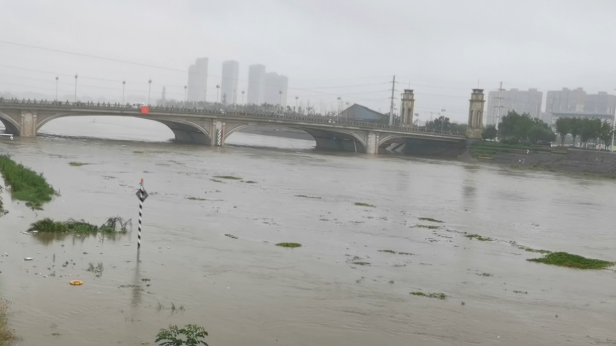 河南漯河舞阳泥河洼蓄滞洪区启用