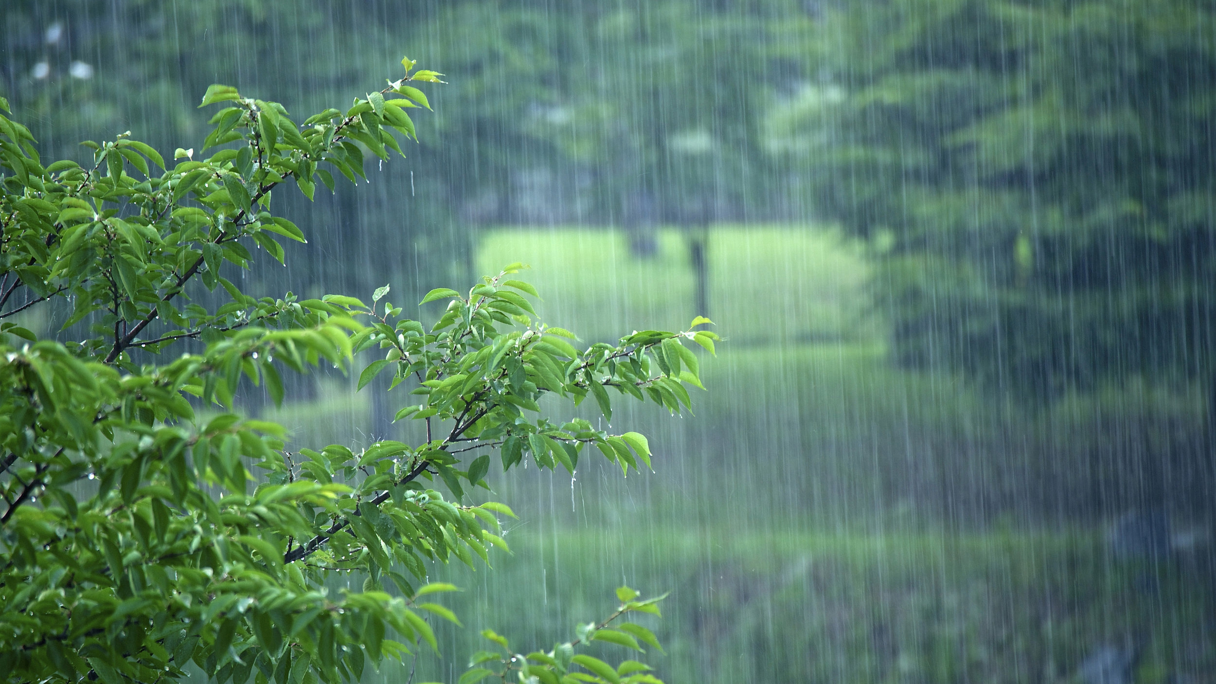 华东降雨范围收缩浙江成为强降雨中心，下周江南高温发展增多