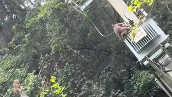 女童扒倒货架被砸中头部,家长:医院拍了CT,万幸没伤到头骨