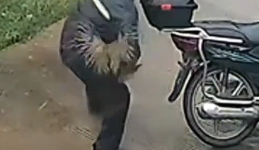 广州一男子专盯农户鸡舍，两个月偷鸡21只全吃光，被警方依法刑拘
