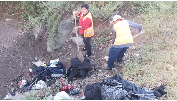 石龙区建设交通局：清理涵洞乱倒垃圾 筑牢安全防线