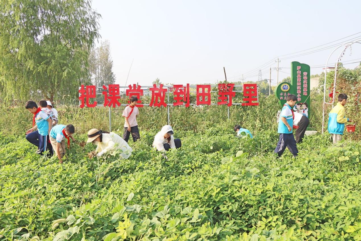 罗山县第四实验小学：深耕耕读沃土 赋能五育成长