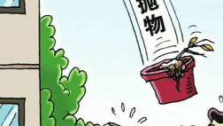 女子被高空抛物致死，抛砖男被执行死刑