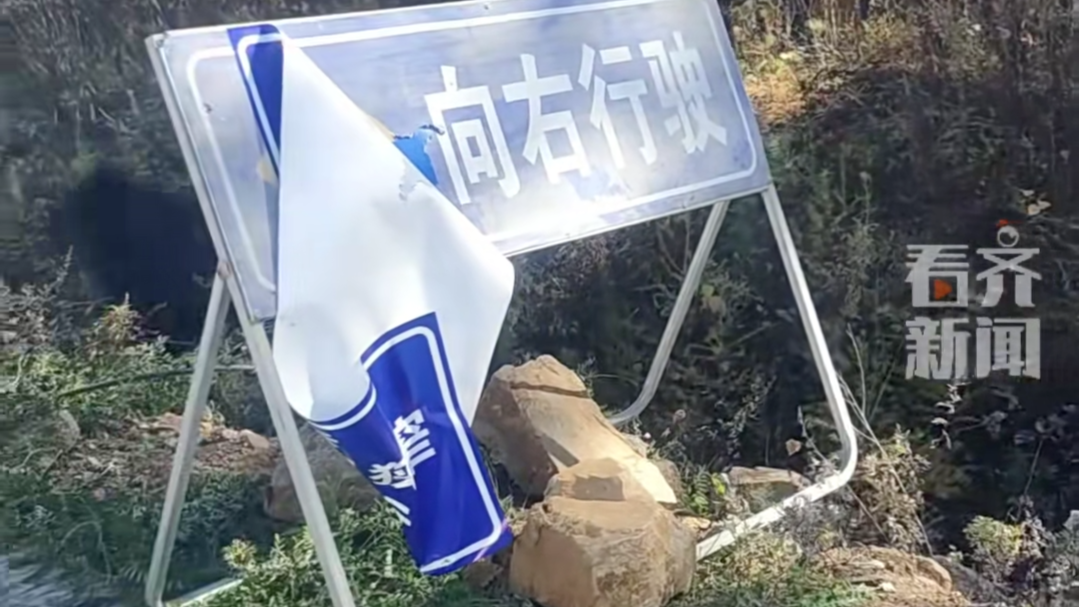 路边刚贴好的道路指示贴纸 被小熊一把撕下 变成“向右行驶”