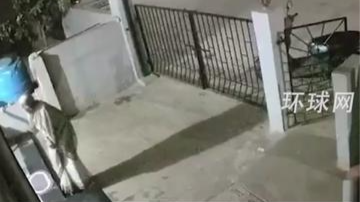 印度一猴子袭击91岁老妇致其死亡
