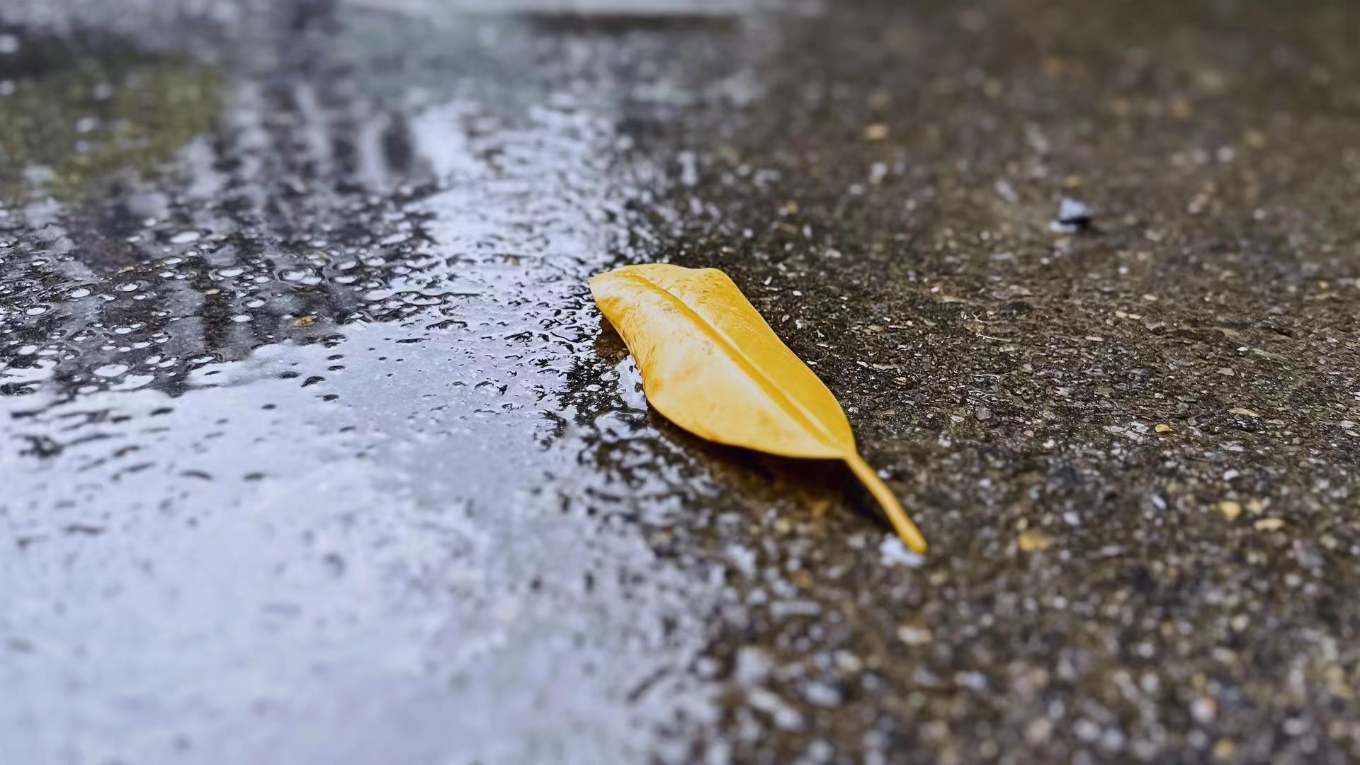 秋雨范围扩大，未来三天，陕西、四川、河南等地部分地区有中到大雨