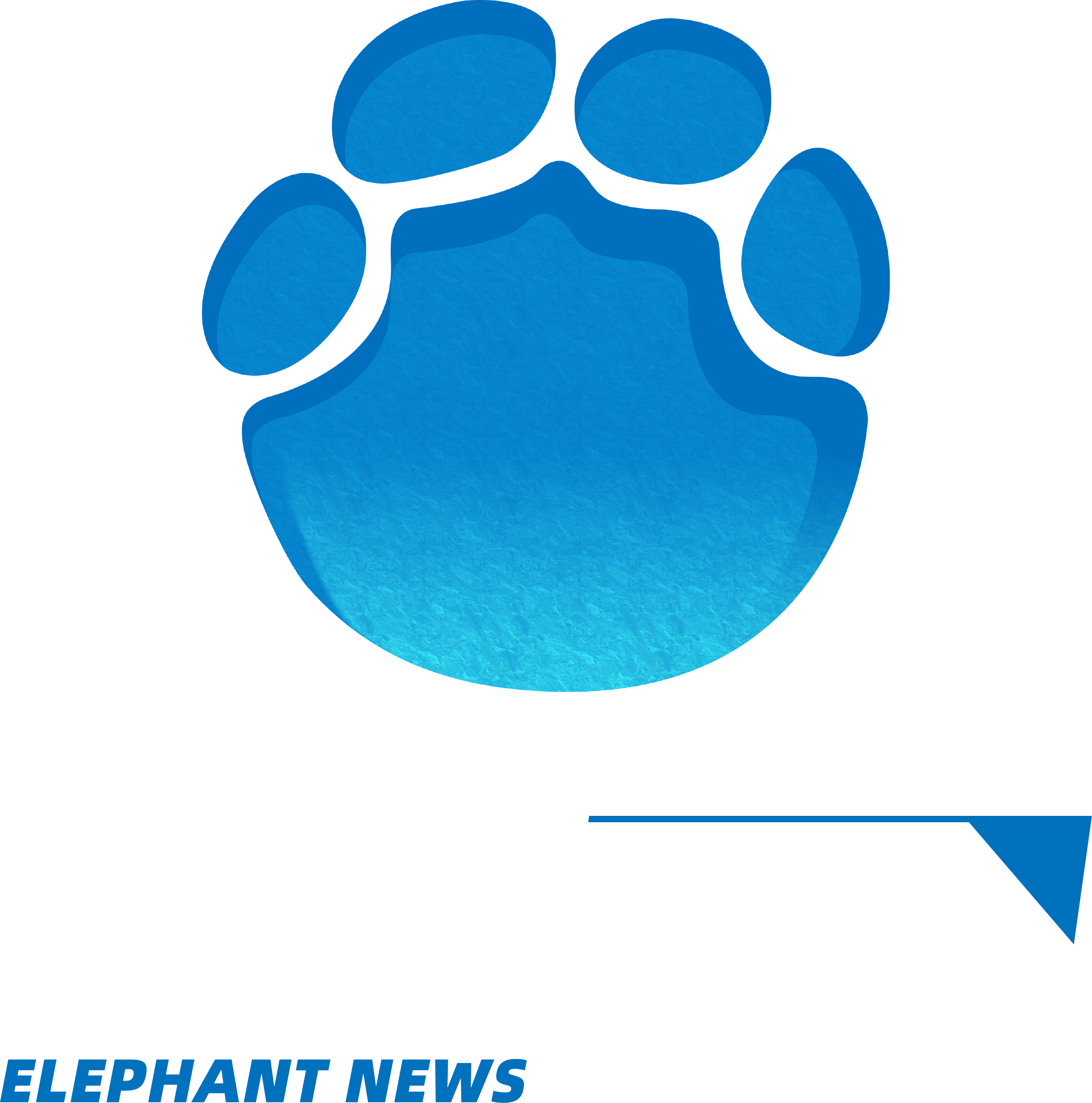信阳潢川：只进一扇门 巧解千千结