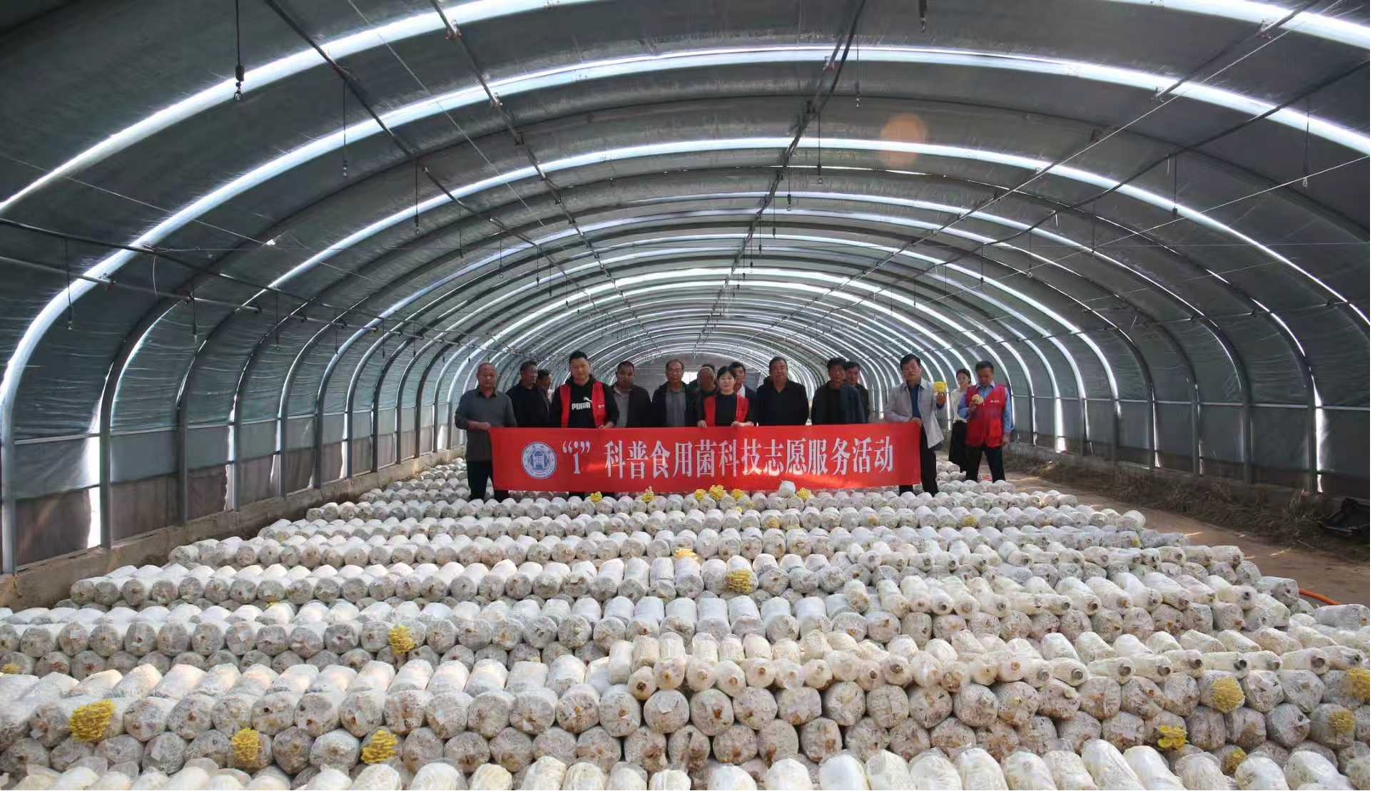送知识送技术 商丘师范学院食用菌科普团队走进虞城种植基地