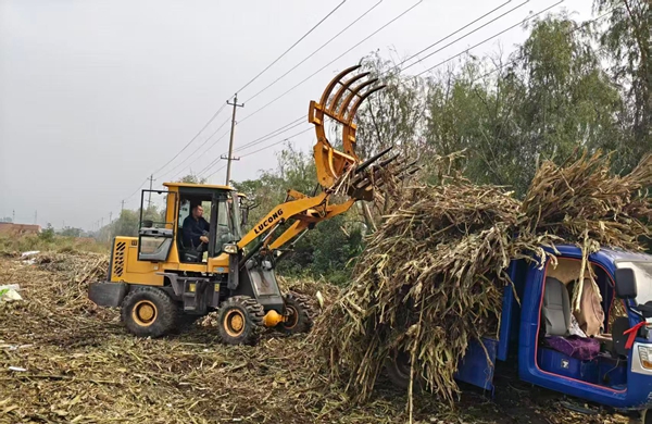 汝州市陵头镇：秸秆清运护田畴 各村联动保生产