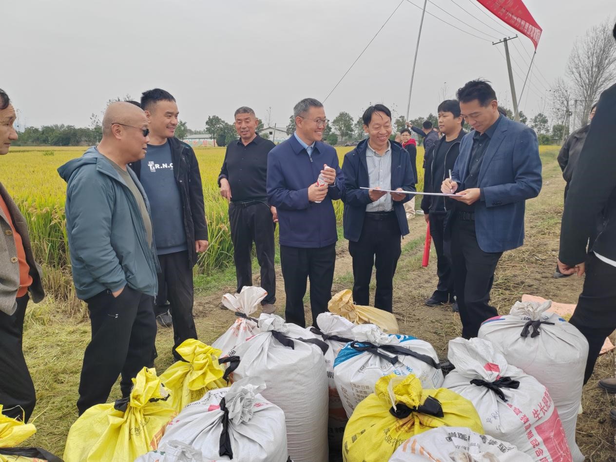 大咖齐聚确山留庄验丰收